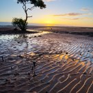 Ripples