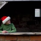 Santa's Helper