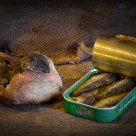 Sardines