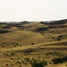 shadows of desert