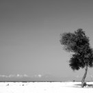 Alone