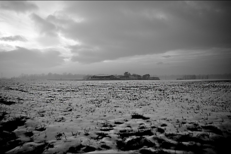 Snow fields in Lombardy