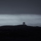 Through the clouds