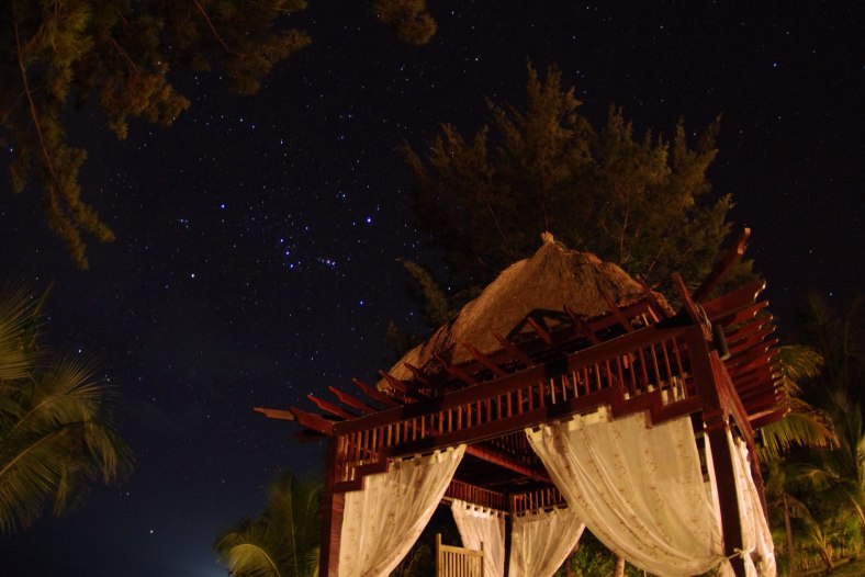 The Orion