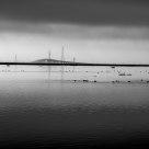 Dumbarton Bridge