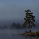 Misti morning