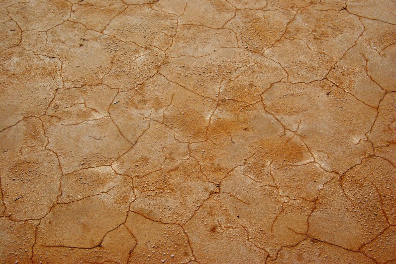 Fragmented