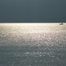 Lonely sailor