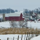 Amish Farm