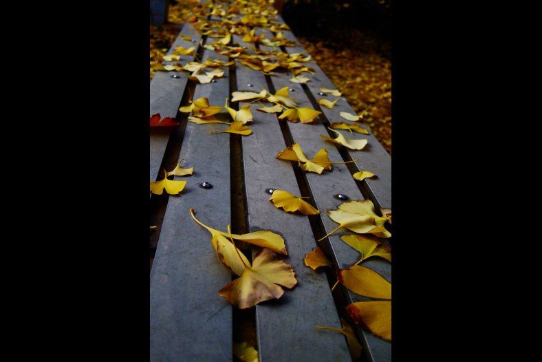Autumn