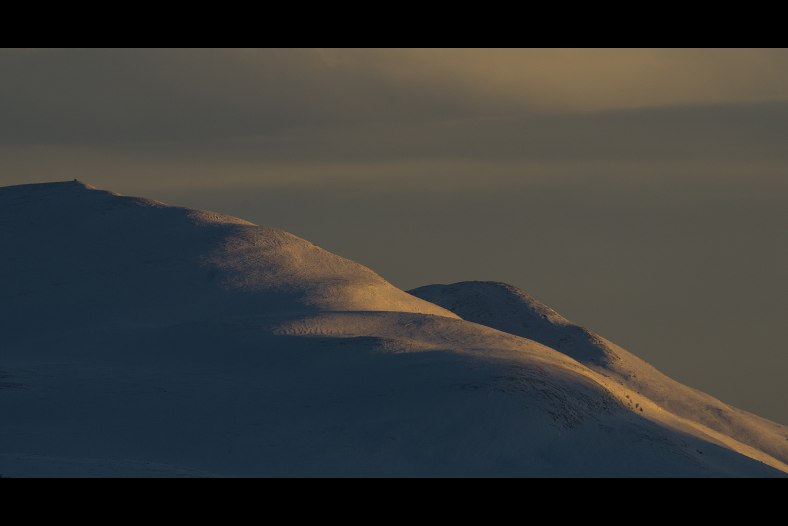 Evening Light