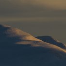 Evening Light