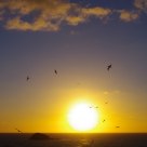 The setting of Year 2012