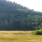 Silver Lake Wetland