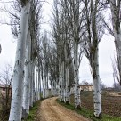Path