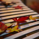 Metal bench