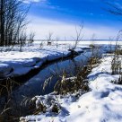 Winter beside Ottawa river