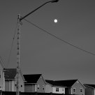 Moon light in suburbia