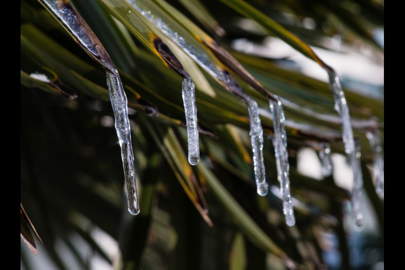 Ice