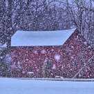 Red Barn in Snowstorm