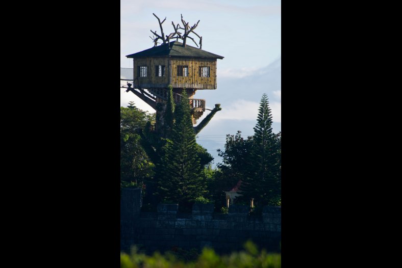 TreeHouse