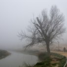 Paseo con niebla