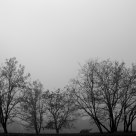 Foggy