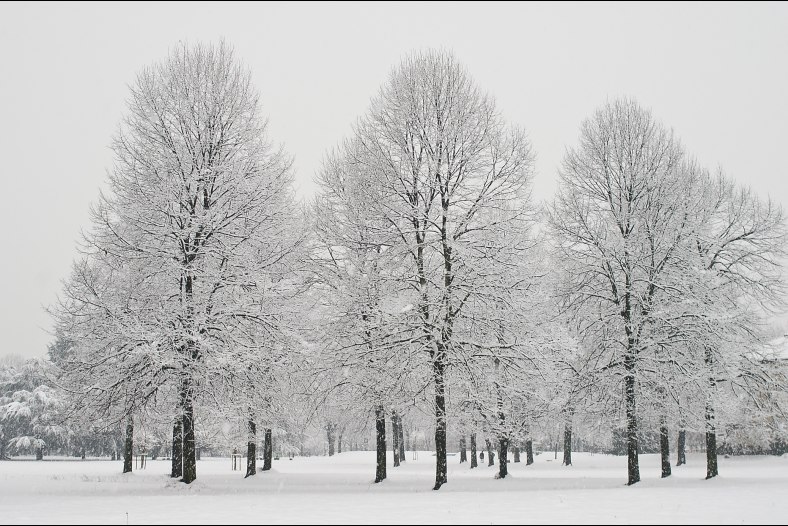 The winter is past