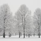 The winter is past