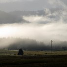 Fog in the plain...