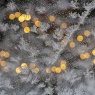 Ice flowers