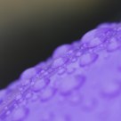 Spheres