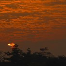Clouds in sunset