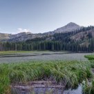 Silver Lake Wetland