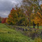 Along the Fence