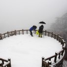 Yellow Mountain in Snowstorm
