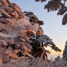 Rime in Yellow Mountain