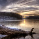 Log at Tucker Lake.