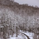 Icy Road.