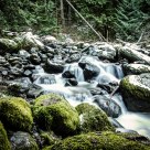 January Creek