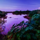 beauty of nature