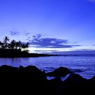 Blue Hawaii