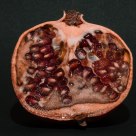 Sectioned Pomegranate