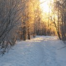 Winter 2