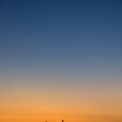 Tropical Dawn