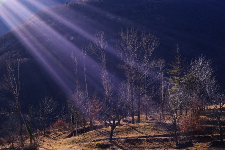 I've seen the light