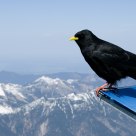 On the roof of Germany