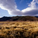 Sea of Grass