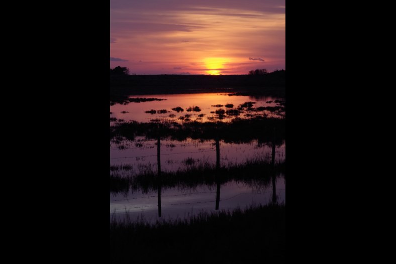 sunset 