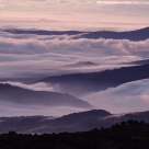 Dawn